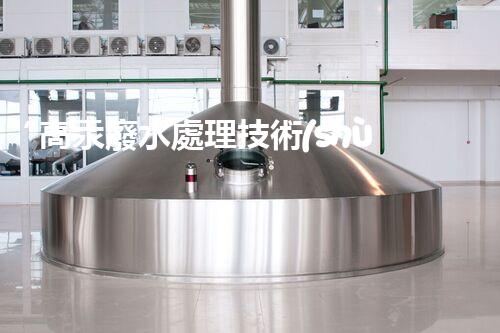 “高汞廢水處理技術(shù)，綠色環(huán)保新篇章”